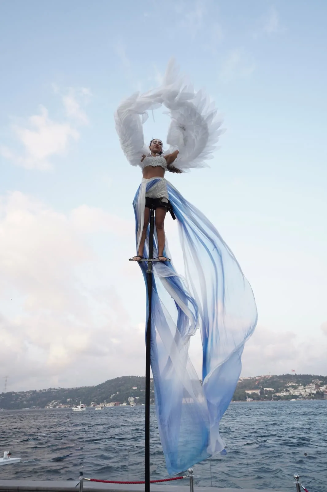 The Blue Fairy — 2
