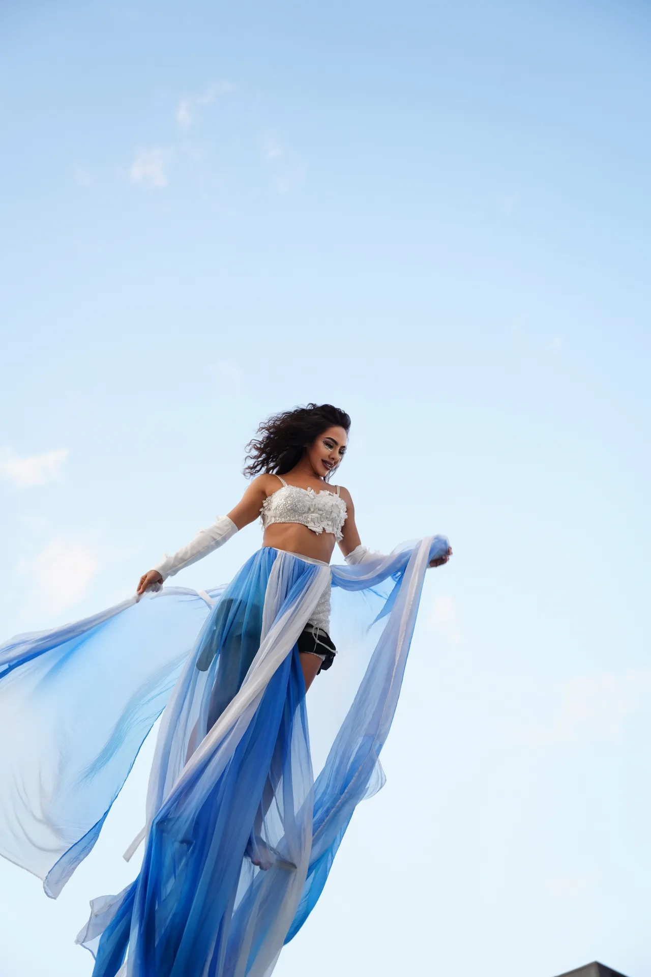 The Blue Fairy